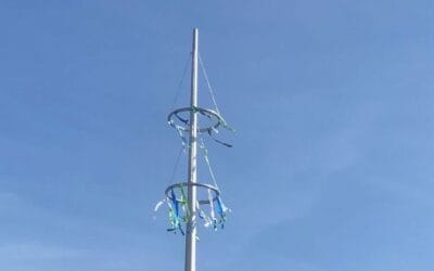 Neuer Maibaum in Walle eingeweiht